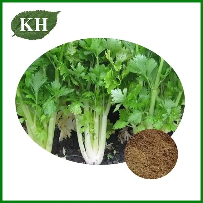Celery Powder — ZAC Biotech Co., Ltd.